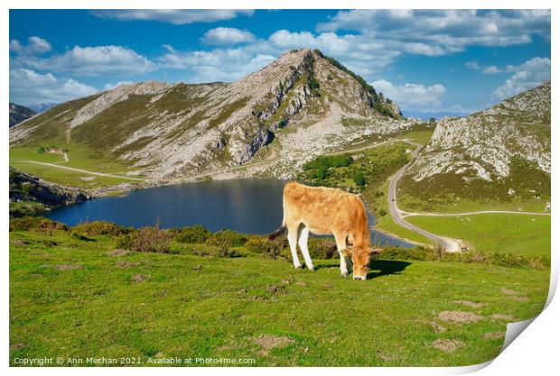 Mountains and lake of the Picos Print by Ann Mechan