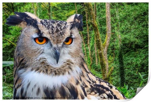 Eagle Owl (Bubo bubo) Print by Gareth Parkes