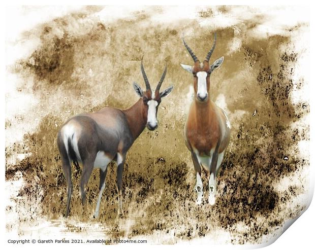 Blesbok in the veldt Print by Gareth Parkes