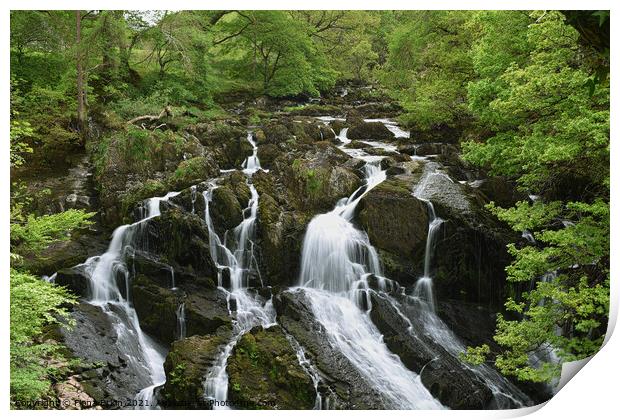 Swallow Falls cascading waterfall  Print by Fiona Etkin