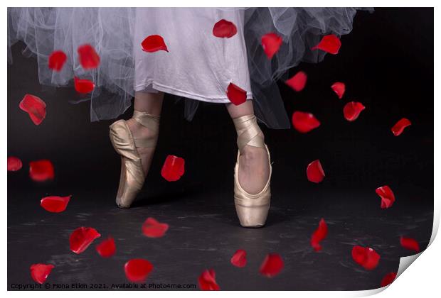 Ballet Slippers and Rose Petals Print by Fiona Etkin