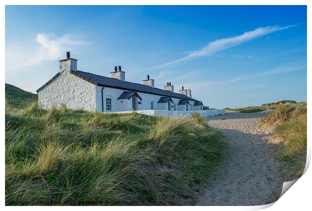 Pilot's Cottages on Llanddwyn Island Print by Fiona Etkin