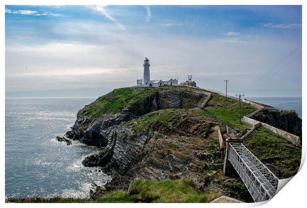 South Stack lighthouse Anglesey Print by Fiona Etkin