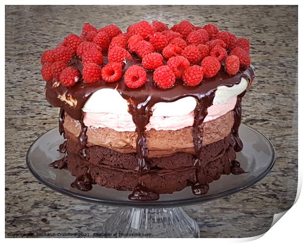 Cake Raspberry Chocolate Strawberry Vanilla Cakes Dessert Print by PAULINE Crawford