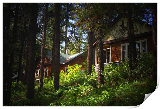 Rustic 2 Log Cabins in the Canadian Rocky Mountains Print by PAULINE Crawford
