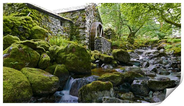 Borrowdale Mill Lake District Print by Mark Hetherington