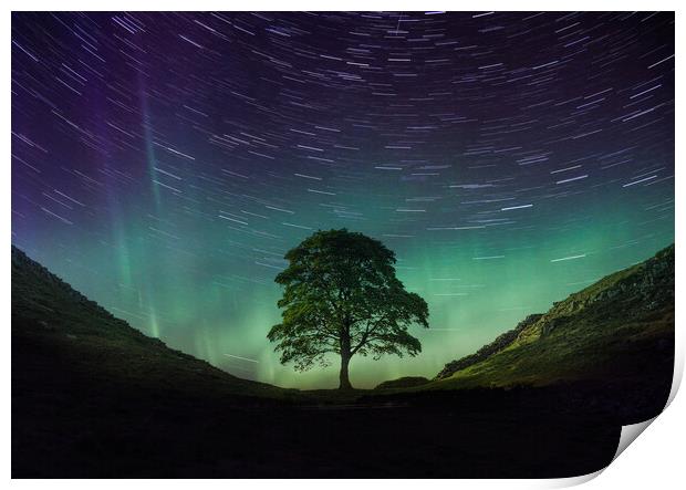 Sycamore Gap Aurora Print by Picture Wizard