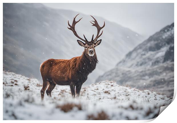 Red Stag Print by Picture Wizard