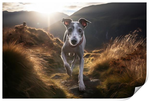 Lurcher Walkies Print by Picture Wizard