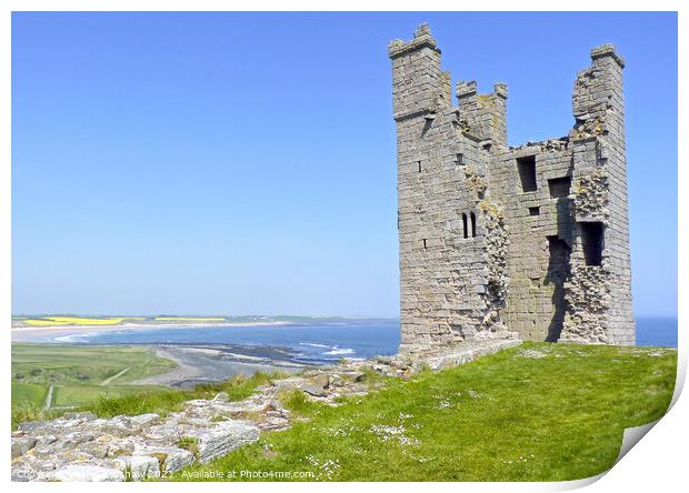 Dunstanburgh castle seaview Print by Lee Kershaw