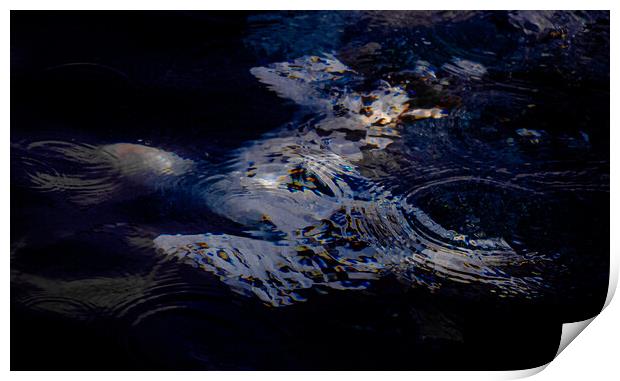 underwater gannet in sun  Print by Mark Deans