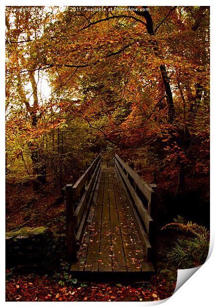 walkway Print by john maclean