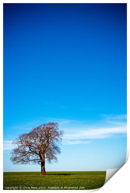 One tree on the horizon landscape Print by Chris Rose