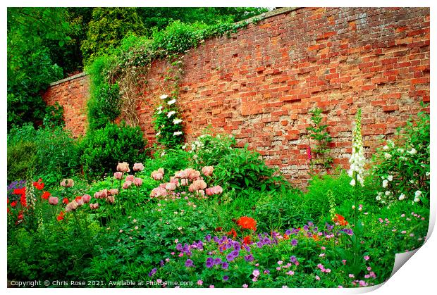 Walled garden summer flowers border Print by Chris Rose