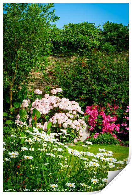 Colourful summer cottage garden border Print by Chris Rose