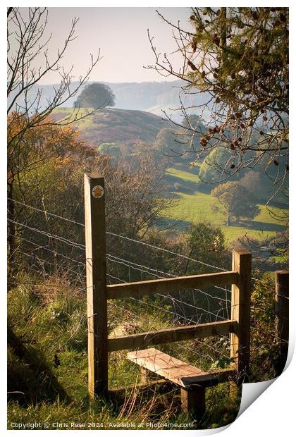 Uley Bury stile Print by Chris Rose