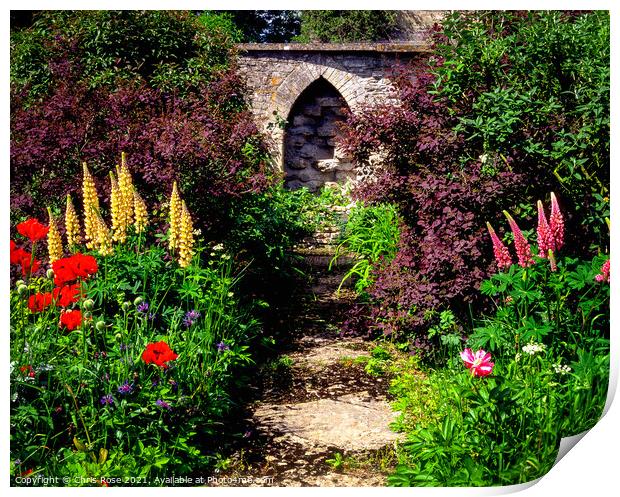 Summer colour garden borders Print by Chris Rose