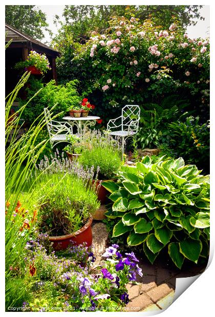 Small densely planted summer garden Print by Chris Rose