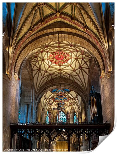  Tewkesbury Abbey decorative ceilings Print by Chris Rose