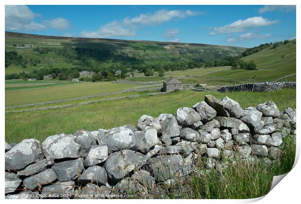 Yorkshire Dales between Arncliffe and Malham Print by Chris Rose