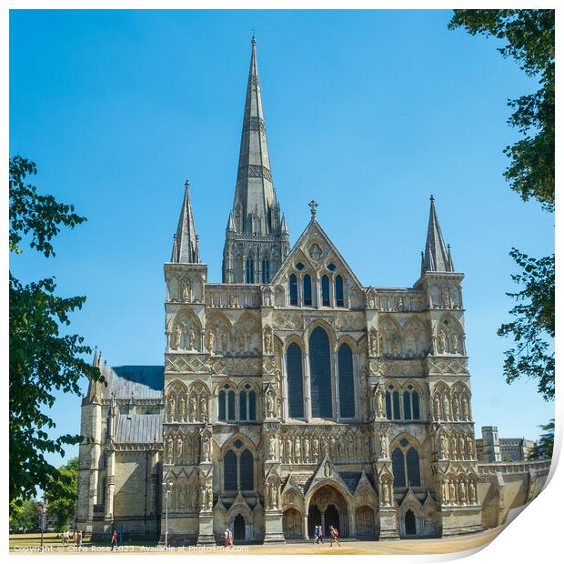 Salisbury Cathedral Print by Chris Rose