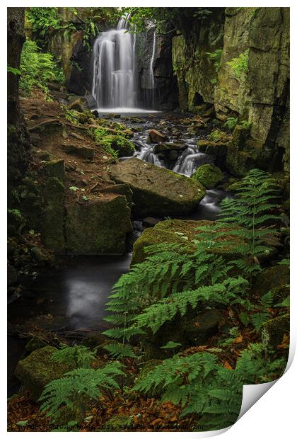 Majestic Lumsdale Falls Print by Steven Nokes