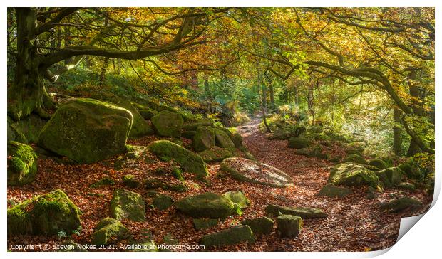 Enchanting Autumnal Padley Gorge Print by Steven Nokes