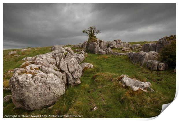 The Majestic Lone Tree Print by Steven Nokes