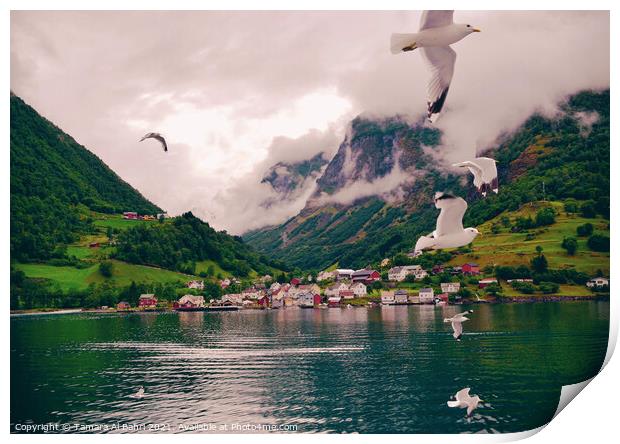 Seagulls Flying over a Norway Fjord Print by Tamara Al Bahri
