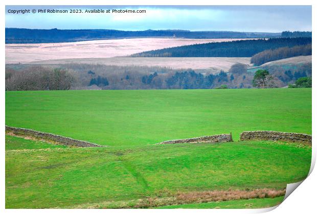 Dry stone wall, Cumbria Print by Phil Robinson