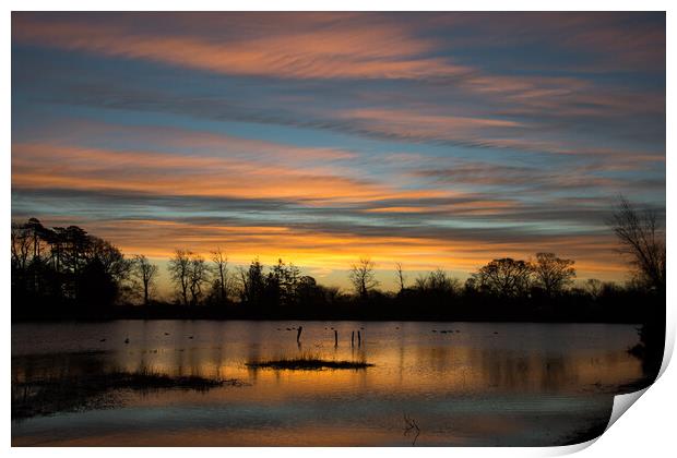 Just before sunrise.. Hatchet Pond  Print by Elzbieta Sosnowski