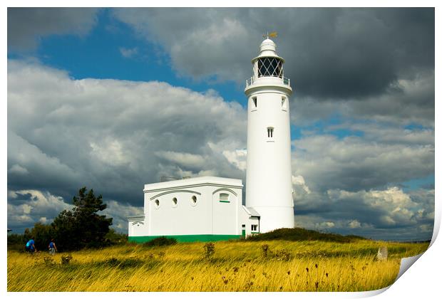 Hurst Point Lighthouse, Hampshire, UK Print by Elzbieta Sosnowski