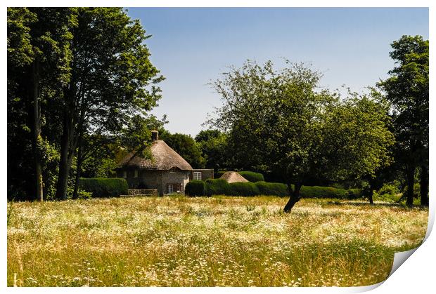 Wild meadow and thatched cottage. Print by Gerry Walden LRPS