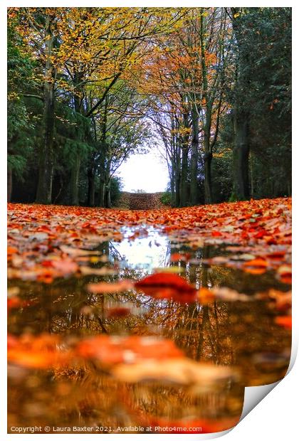 Autumn Reflections Print by Laura Baxter