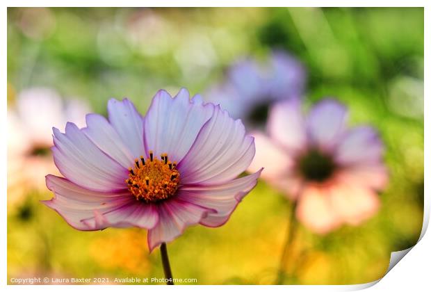 Summer Flowers Print by Laura Baxter