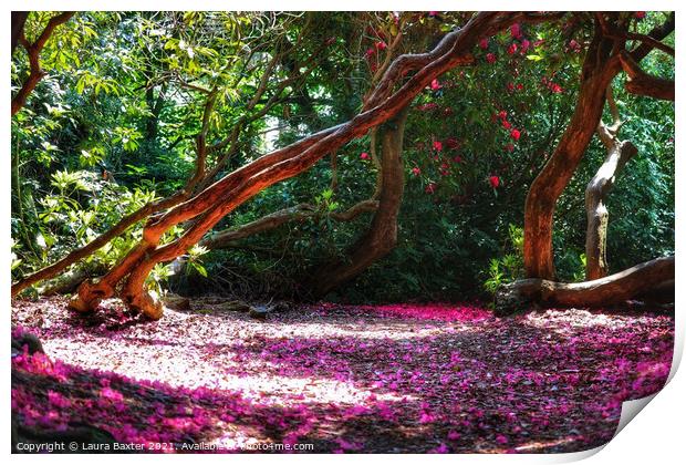 Magical woodlands at Sheringham Park Print by Laura Baxter