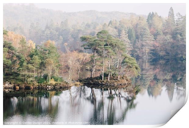 Tarn Hows - Reflections Print by Denley Dezign