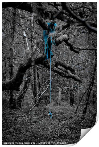 Rope Swing | Limpsfield Common Print by Adam Cooke