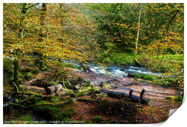 Golitha Falls | Bodmin Moor | Cornwall Print by Adam Cooke