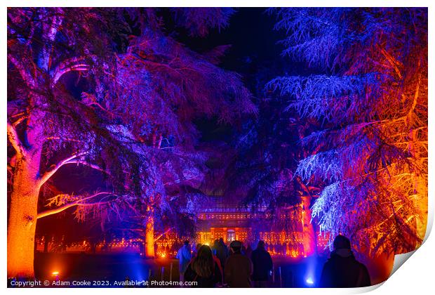 Kew Gardens Light Trail | London Print by Adam Cooke