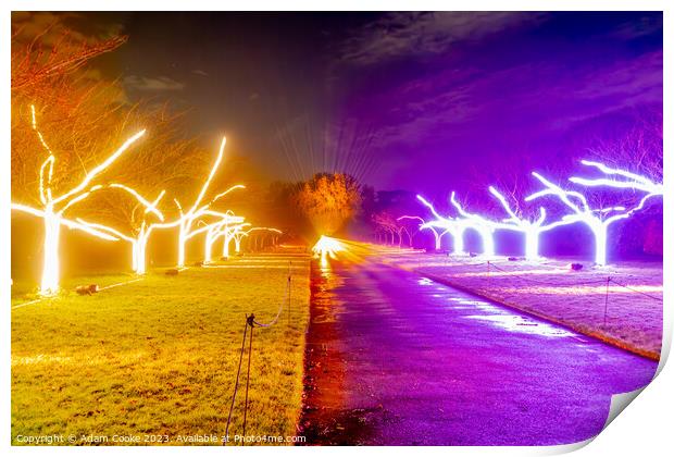 Kew Gardens Light Trail | London Print by Adam Cooke