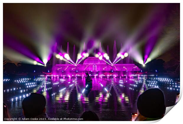 Kew Gardens Light Trail | London Print by Adam Cooke