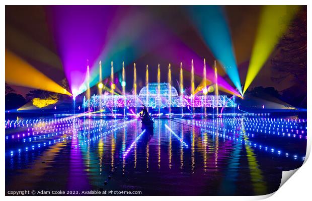 Kew Gardens Light Trail | London Print by Adam Cooke