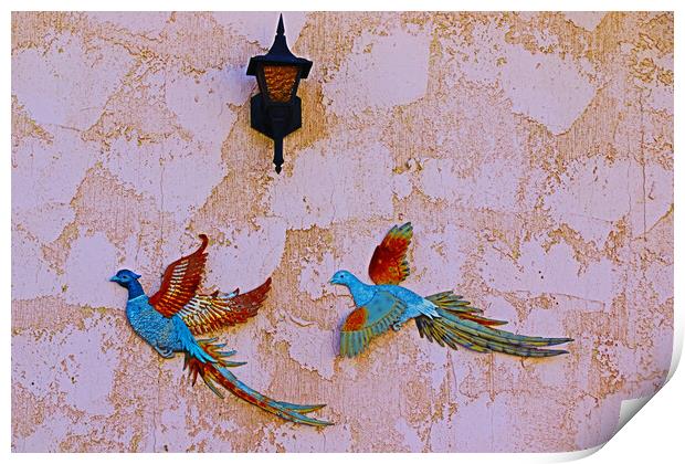 Birds of Paradise Print by Tony Mumolo