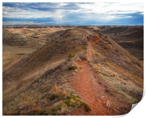 Hiking Trail Through The Badlands Print by Dan Sproul