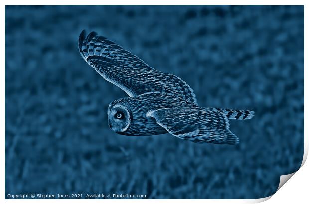 Night Owl Print by Ste Jones