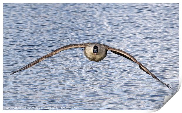 Look Out ! Print by Ste Jones