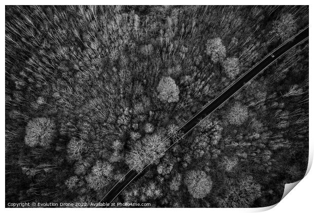 Winter road though trees Print by Evolution Drone