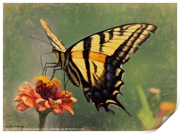 Swallowtail Painting Print by JoDonna Rusk