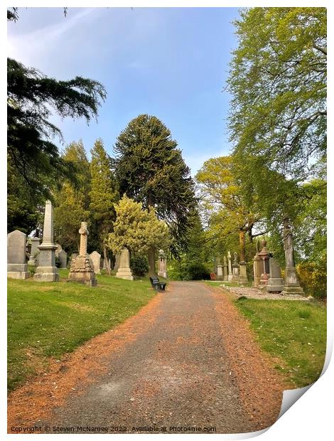 Path through a cemetery  Print by Steven McNamee